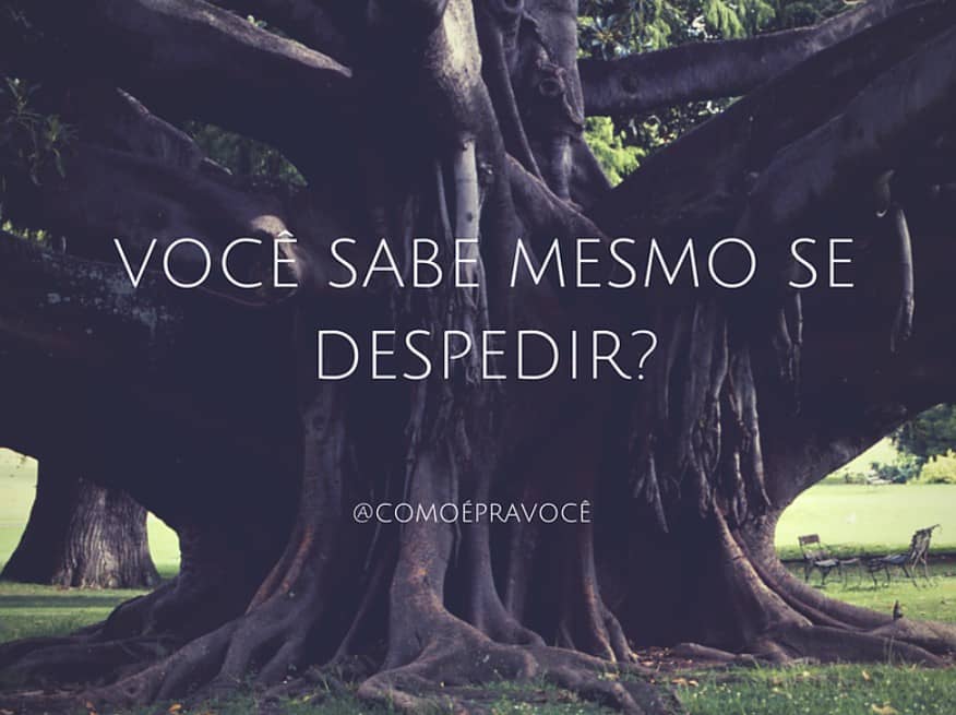 luto, melancolia, depressão, saude mental, desenvolvimento emocional, inteligencia emocional, desenvolvimento pessoal, camila prado, psicologa, psicanalise
